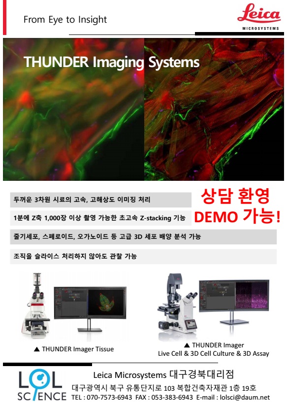 thunnnn.jpg